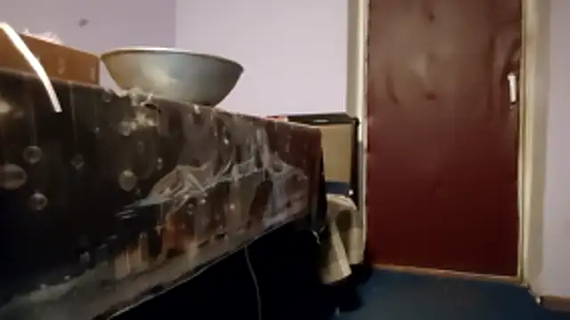 _Kitti_'s cam snapshot