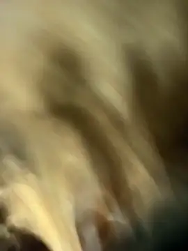 RT_SNW's cam snapshot