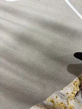 rajapo_1's cam snapshot