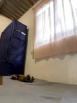 AlexaWarner live sex cam