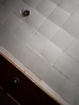 AceticPinscher live sex cam