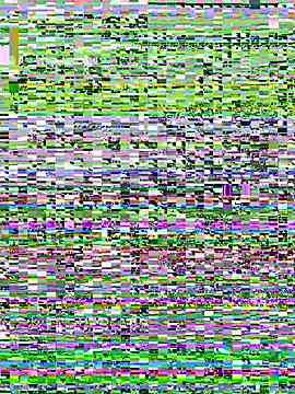 Star-sweet live sex cam