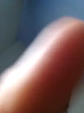 Silvakkfitk's cam snapshot