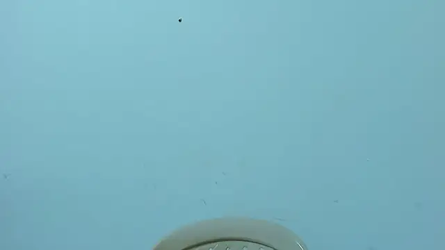 MARILYN_GARCIA live sex cam