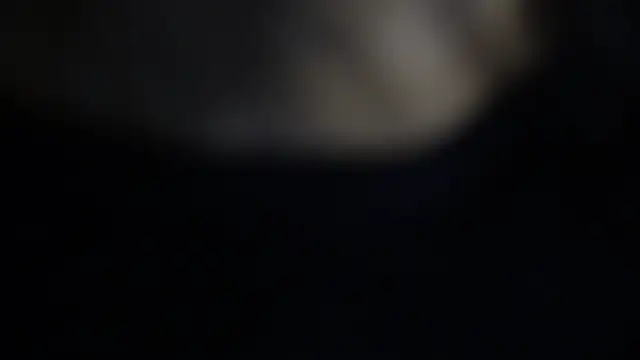 -AyeshaSinghania-'s cam snapshot