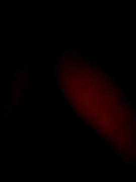 Soni_ji01's cam snapshot