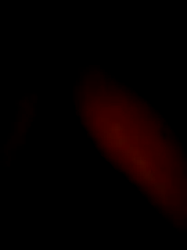 Soni_ji01's cam snapshot