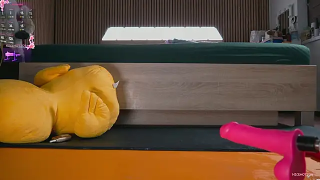 NiceHotJob's cam snapshot