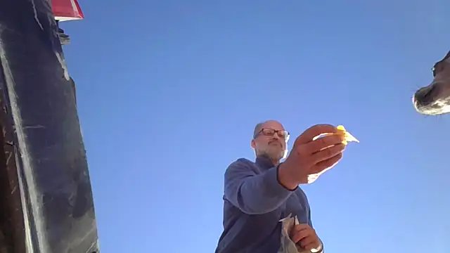 DatingProfile_USA_43_str8's cam snapshot