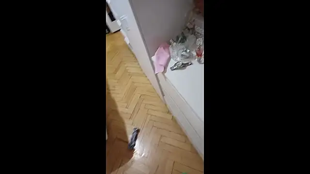 ladinek's cam snapshot