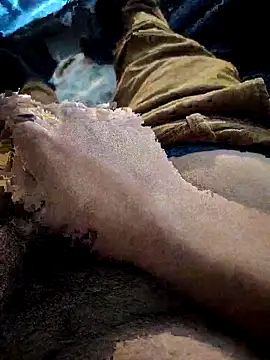 ellovol's cam snapshot