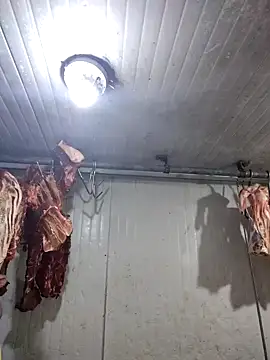 Alexisllanos's cam snapshot