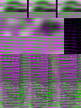 Nicole_bunny0's cam snapshot