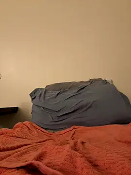 DLPAPI's cam snapshot