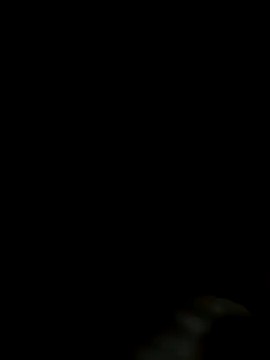 Night_outcam's cam snapshot