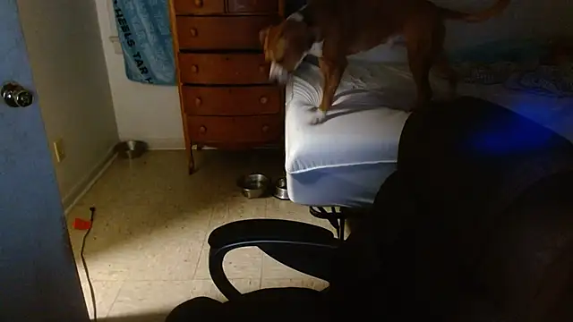 DADDY_KANE8---'s cam snapshot