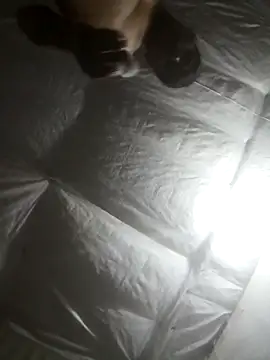 Ckinetor live sex cam