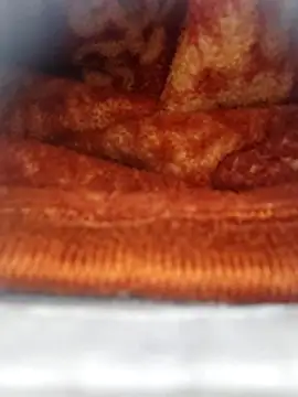 Sheela-Bhabi's cam snapshot