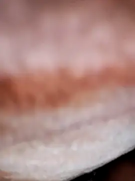 jiniya6789's cam snapshot