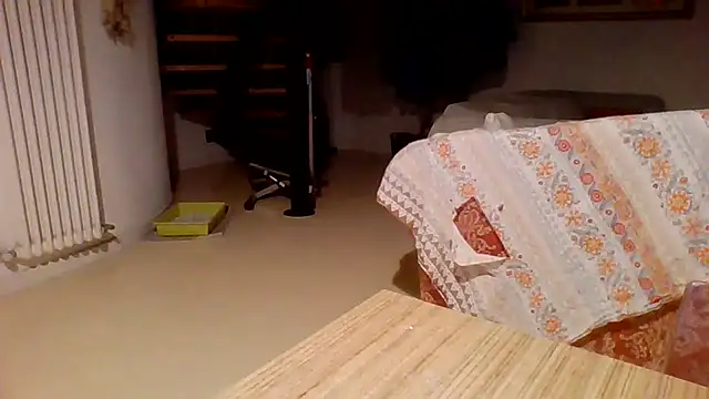 woww791's cam snapshot