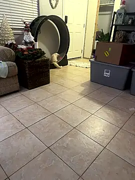 TactileMode8's cam snapshot