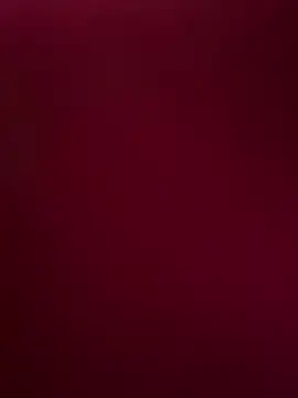 Savi-SL's cam snapshot