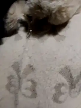 doggy-00's cam snapshot