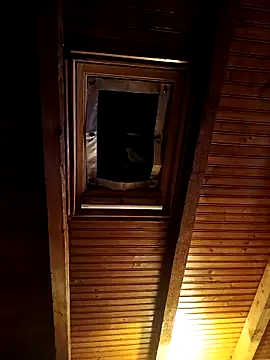 CurlyElisa live sex cam