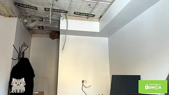 DemetriceChisholm's cam snapshot