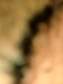 ViVicutek's cam snapshot