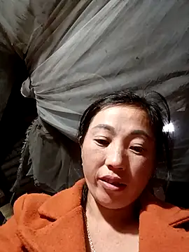 seacyre's cam snapshot