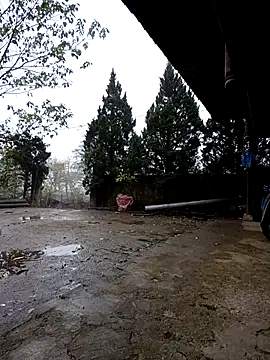 Nyny327's cam snapshot