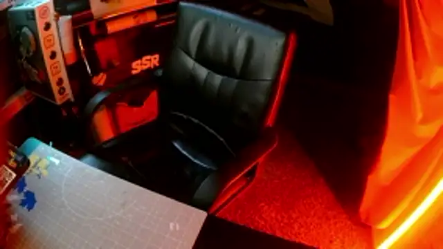 Bowerboi's cam snapshot