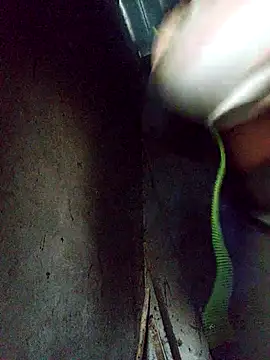 Ava-120's cam snapshot