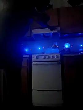 ReallyReallyReal's cam snapshot