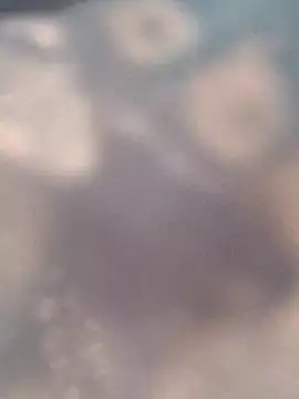 Na_shreya live sex cam