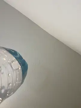 anniemarie356 live sex cam