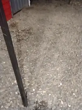 SHARLOT2427's cam snapshot