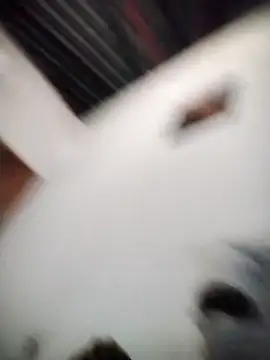 hotdick25002 live sex cam