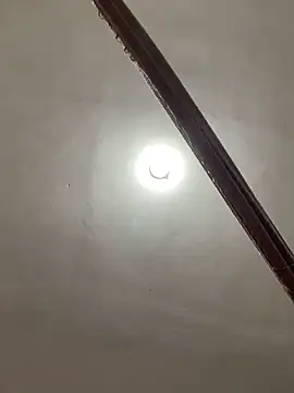 linox237 live sex cam