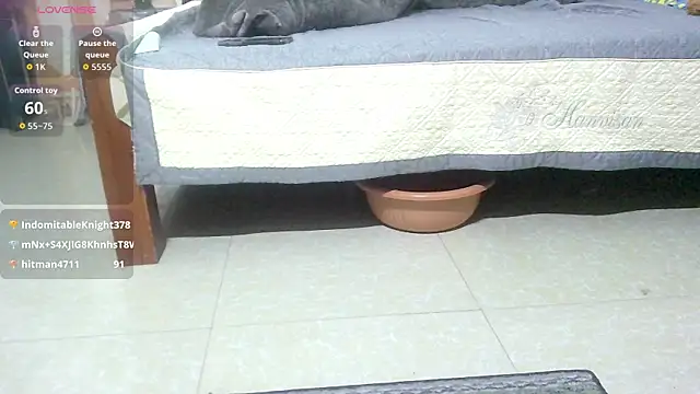 Jerry-Lan's cam snapshot