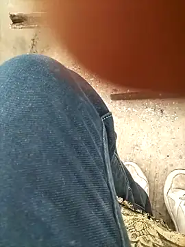 Pitercom's cam snapshot