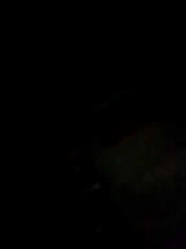 ASHA-78's cam snapshot