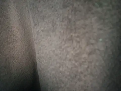 Frankdick01's cam snapshot