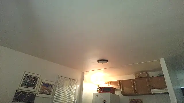 SiminFox's cam snapshot