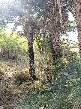 Sexy_couple2511's cam snapshot