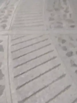 SHARLOT2427's cam snapshot