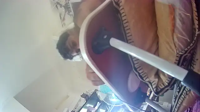 velociraptor_xxx live sex cam