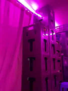 Hot_beauty__ live sex cam