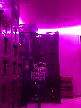 Hot_beauty__ live sex cam